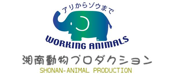 Shonan Animal